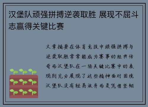 汉堡队顽强拼搏逆袭取胜 展现不屈斗志赢得关键比赛